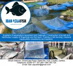 IBAN AQUA FISH IBAN AQUA FISH